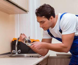 About Plumbers Pros Brethren, MI